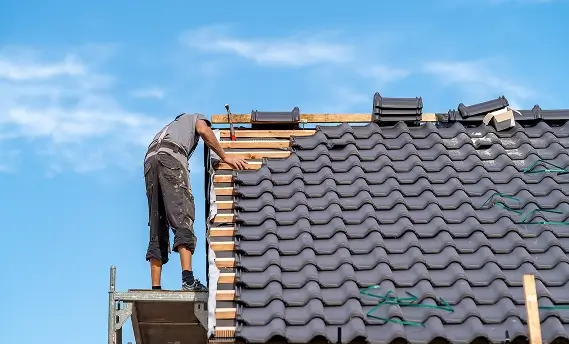 Roof Maintenance
